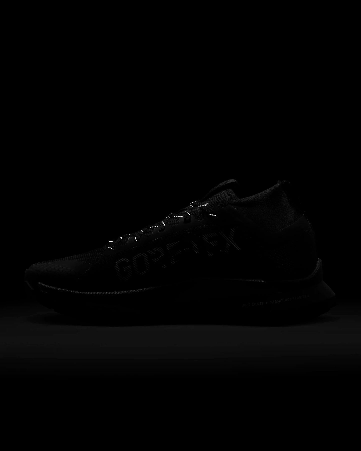 Nike Pegasus Trail 4 GORE-TEX | Black