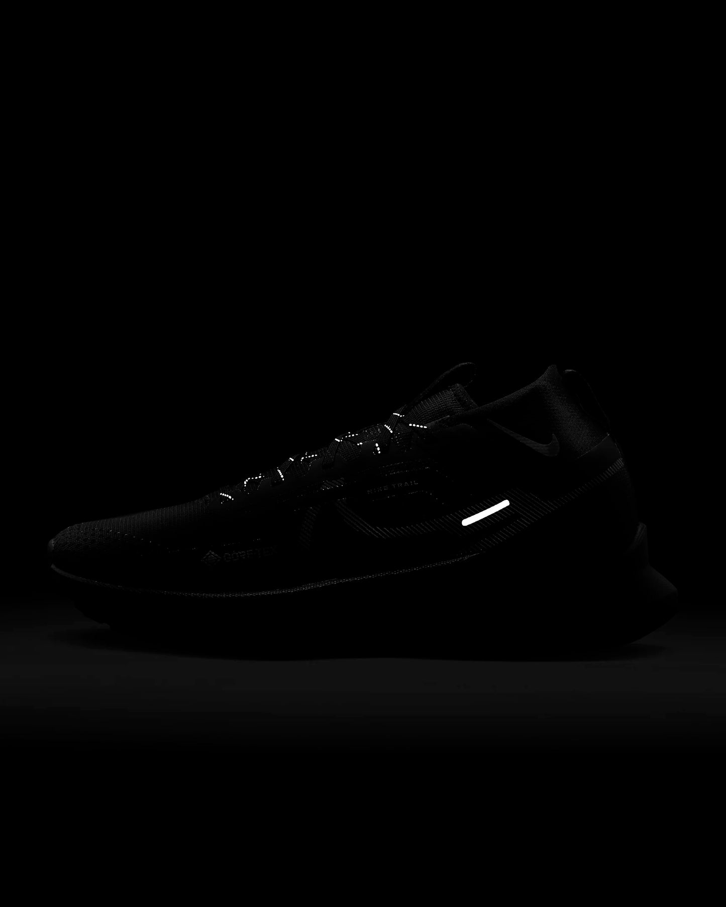 Nike Pegasus Trail 4 GORE-TEX | Black